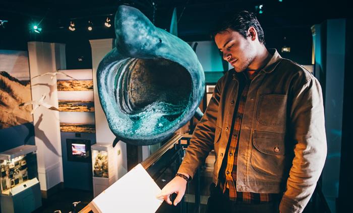 young man reading information panel. in the background is a life size model of a basking shark with mouth wide open